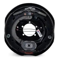 Dexter Electric Brake Assembly 12 inch for Left Side